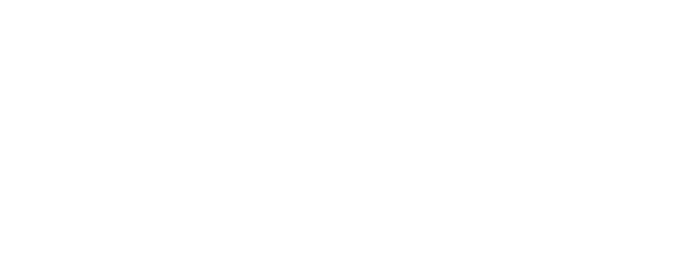 Brother 1928 scroll image