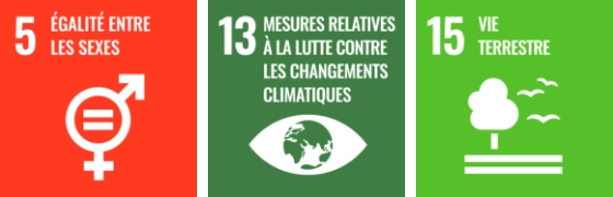 Development Goals Banner