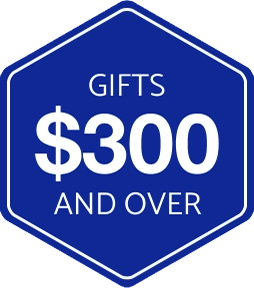 Mobility Connectivity icon