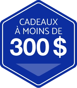 Mobility Connectivity icon