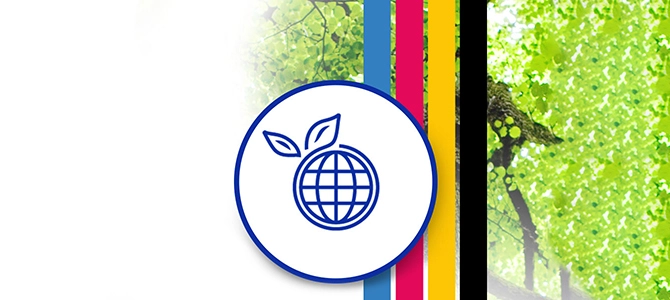 Reduce Cartridge Waste with Ink Bottles